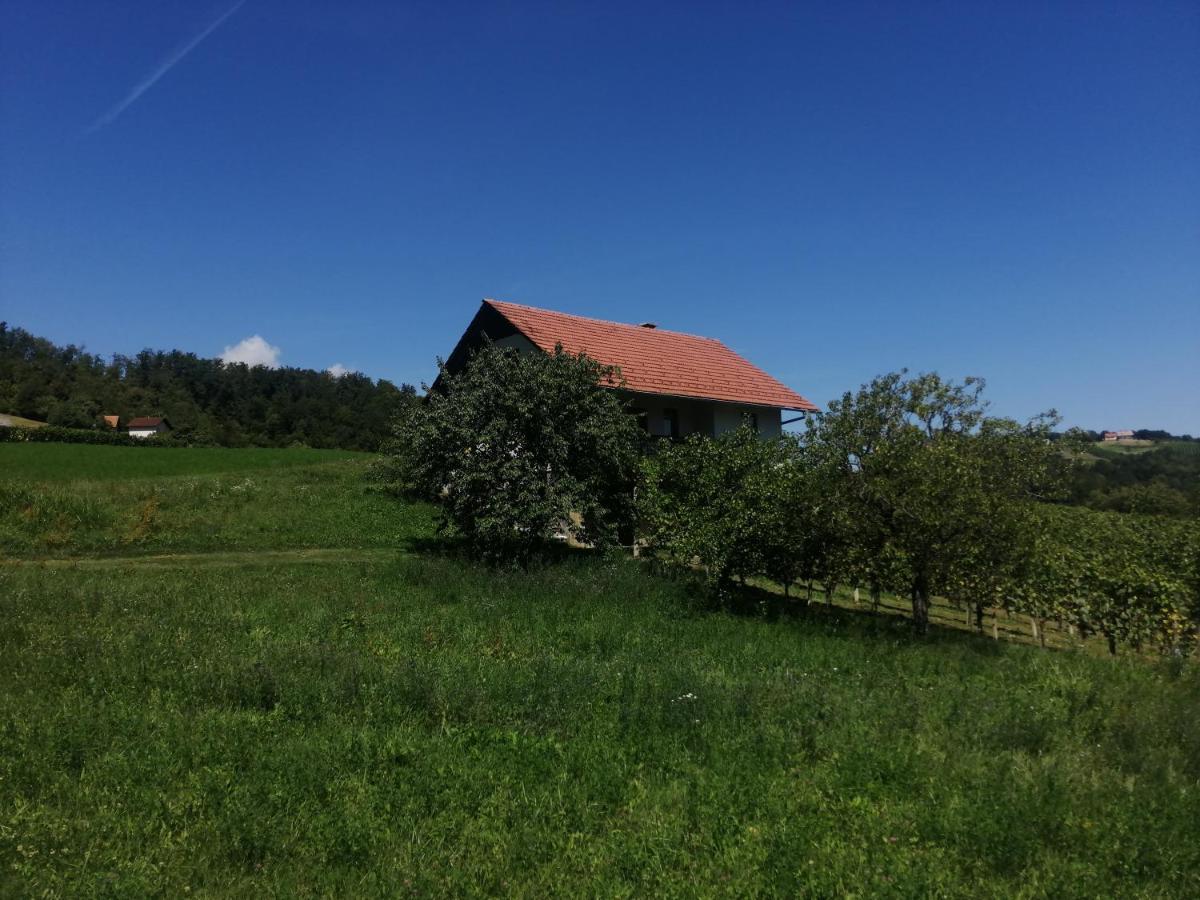 Apartma Gorca Plevnik