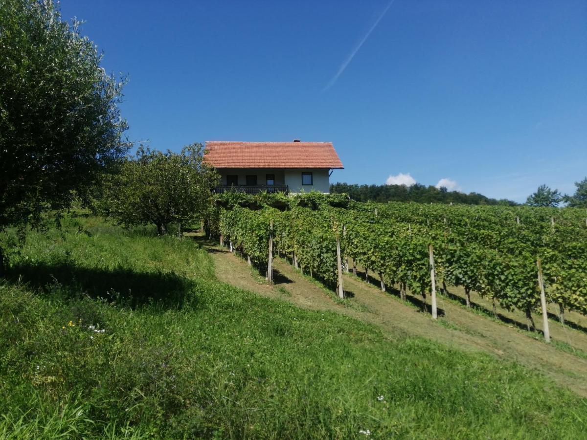 Apartma Gorca Plevnik * Buce