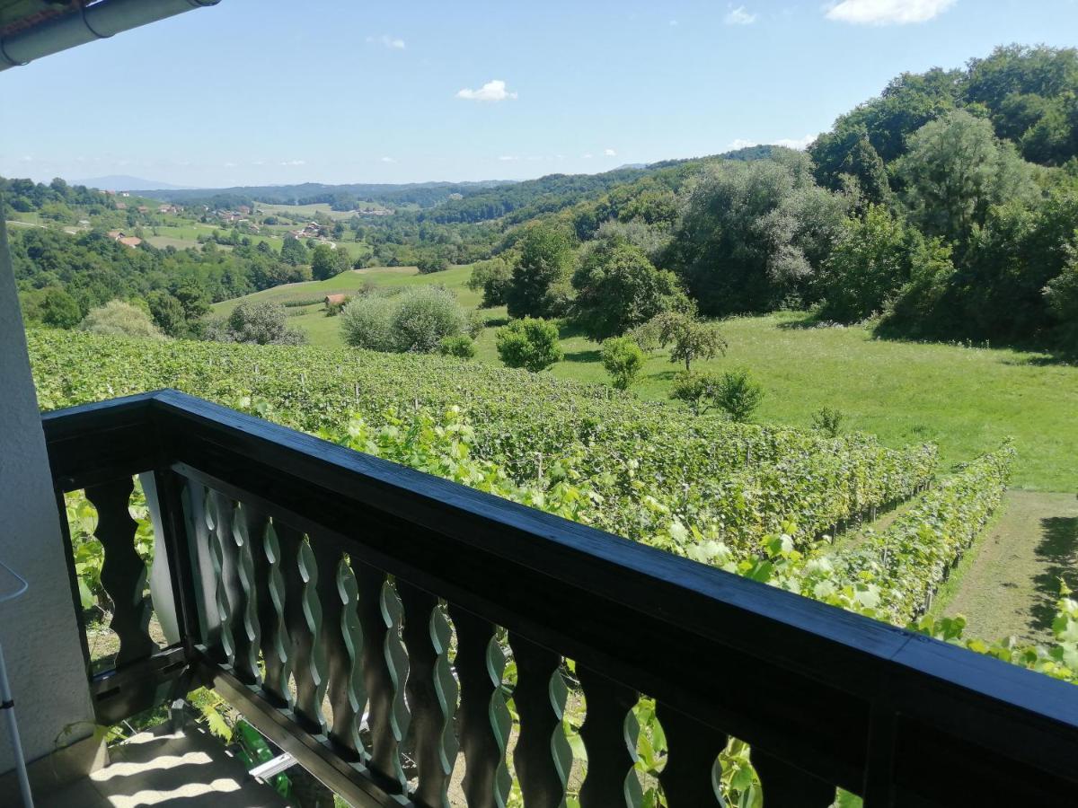 Apartma Gorca Plevnik