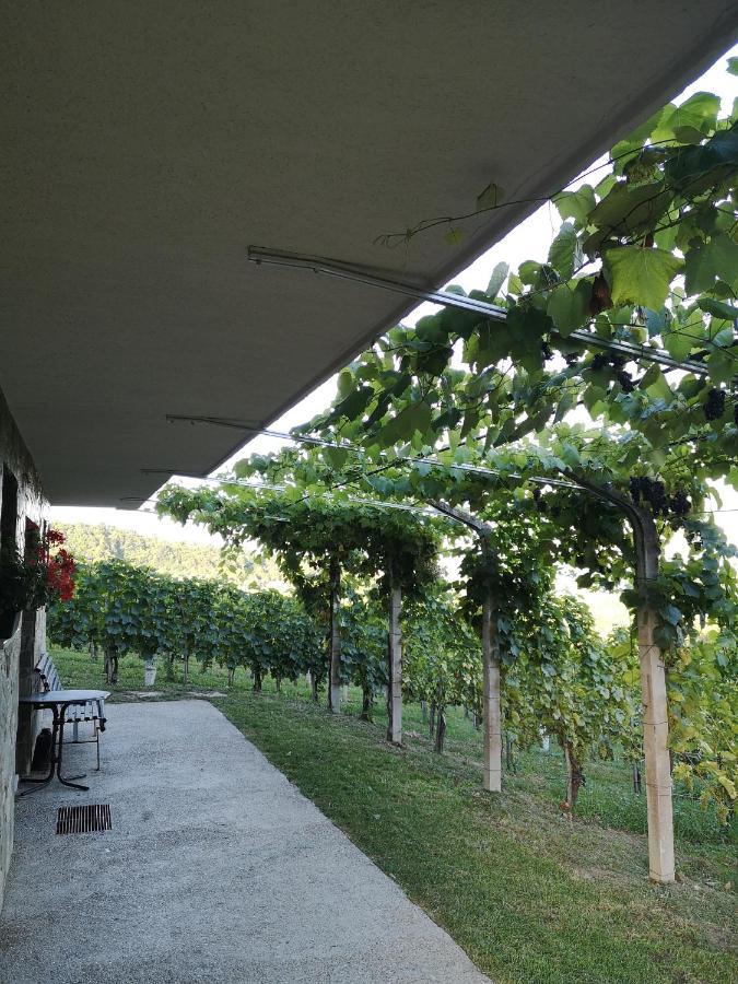 Apartma Gorca Plevnik *